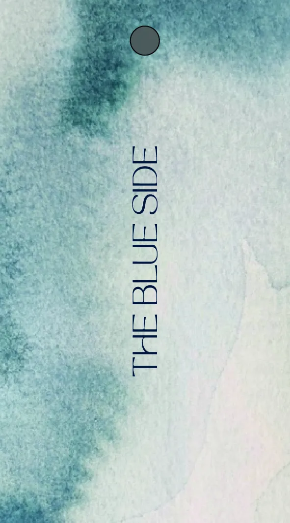 The Blue Side — pieza de campaña 10